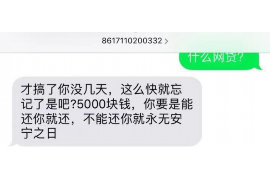 泗洪泗洪的要账公司在催收过程中的策略和技巧有哪些？