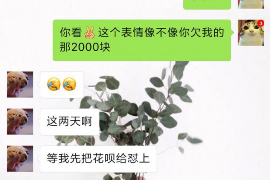 泗洪专业催债公司的市场需求和前景分析